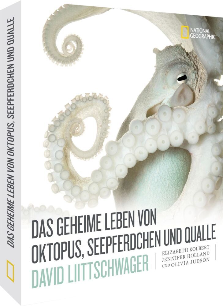 Das geheime Leben von Oktopus, Seepferdchen und Qualle main product photo