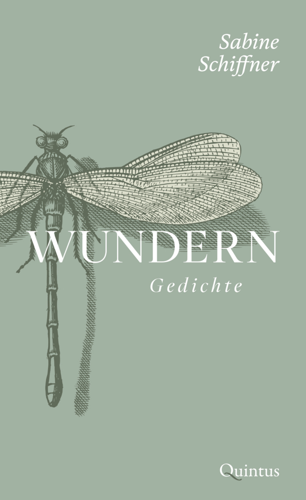Wundern main product photo