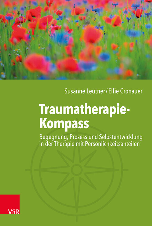 Traumatherapie-Kompass main product photo