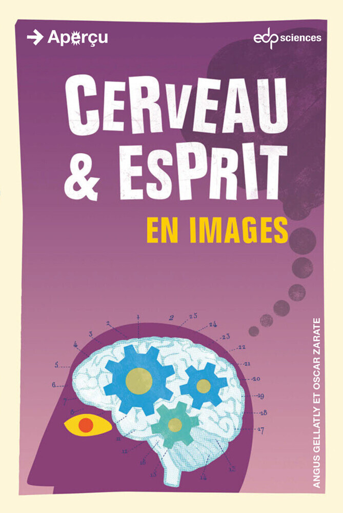 Cerveau et esprit en images main product photo