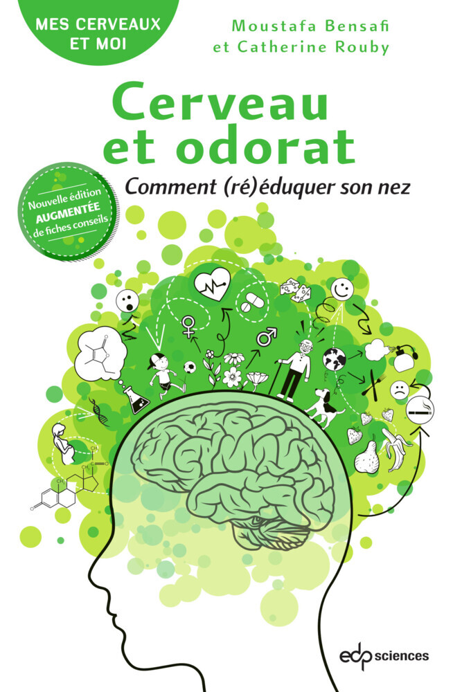 Cerveau et odorat main product photo