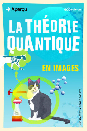 La théorie quantique en images