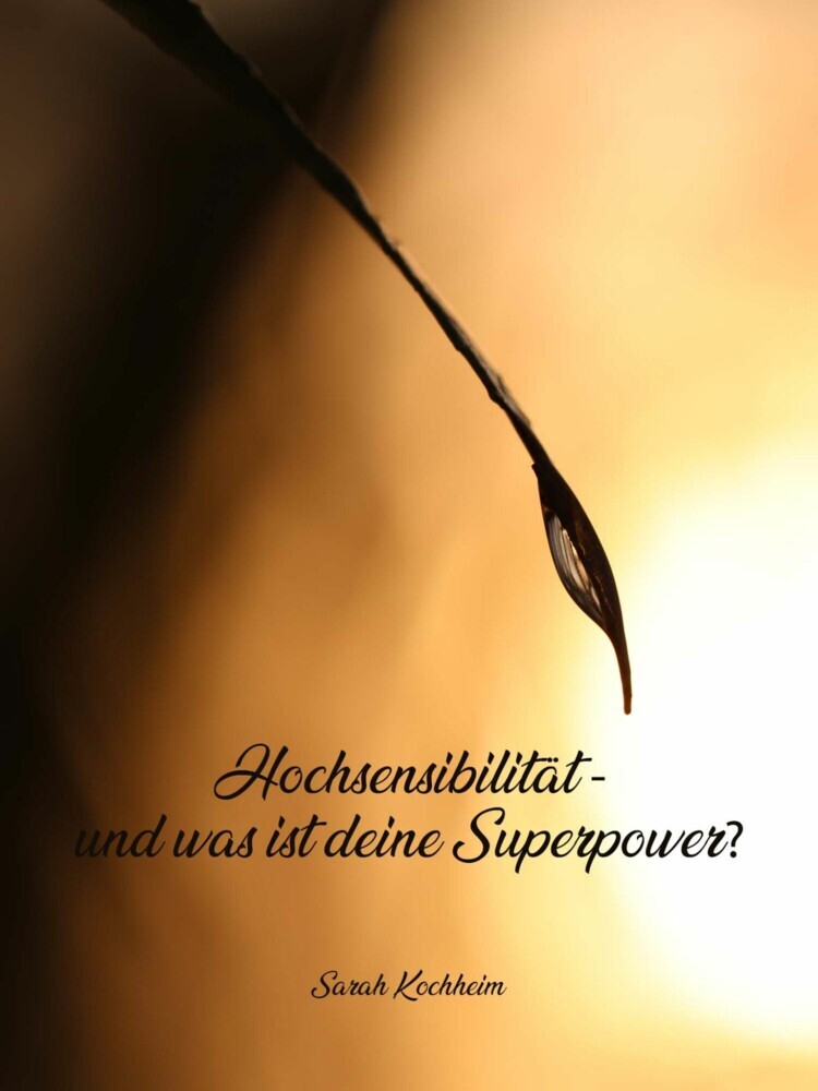 Hochsensibilität main product photo