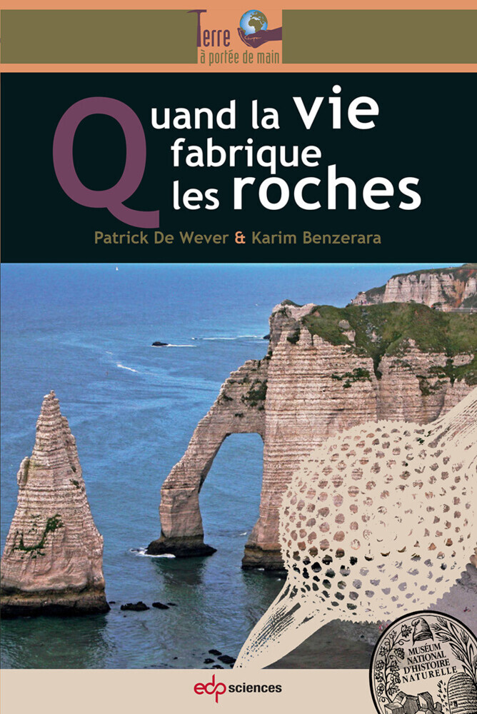 Quand la vie fabrique les roches main product photo