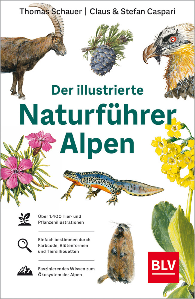 Der illustrierte Naturführer Alpen main product photo