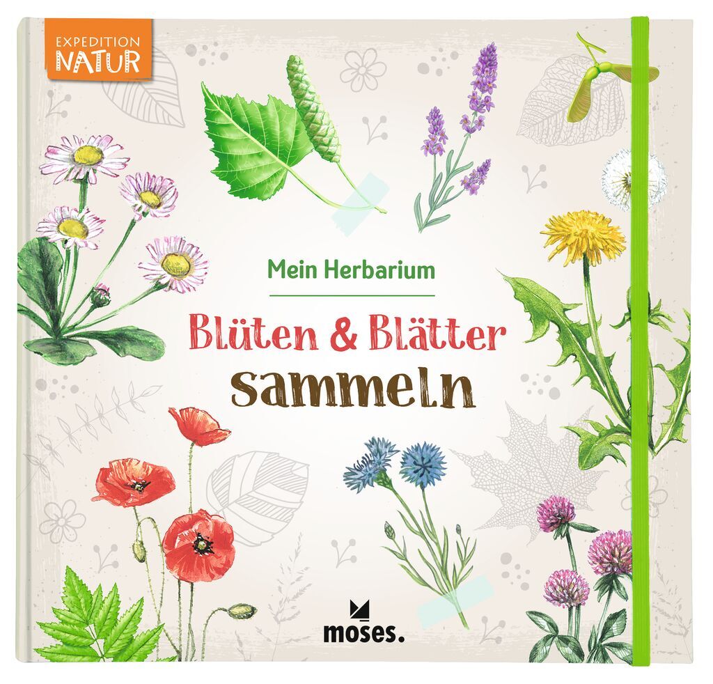 Blüten & Blätter sammeln main product photo