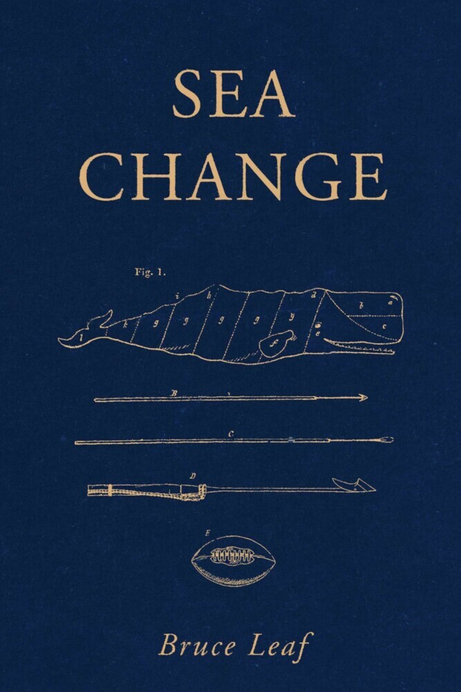 Sea Change main product photo