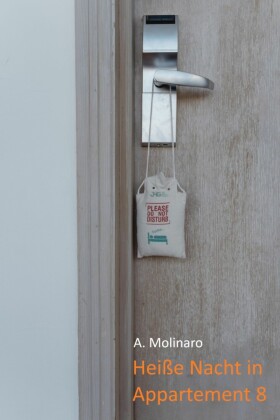 Heiße Nacht in Appartement 8