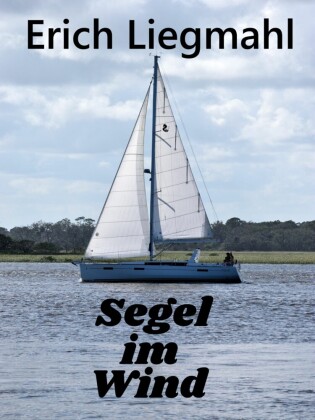 Segel im Wind