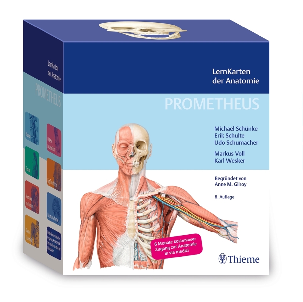 PROMETHEUS LernKarten der Anatomie main product photo