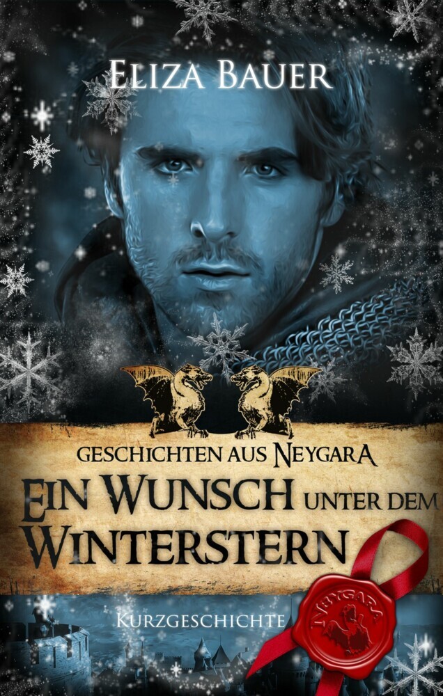 Ein Wunsch unter dem Winterstern main product photo
