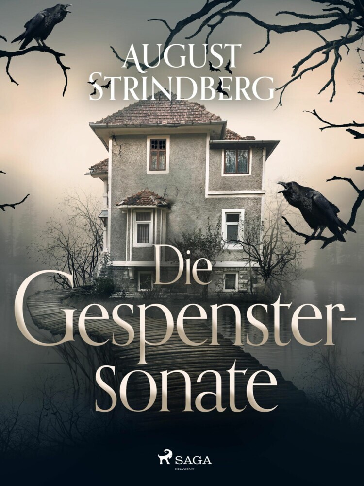 Die Gespenstersonate main product photo