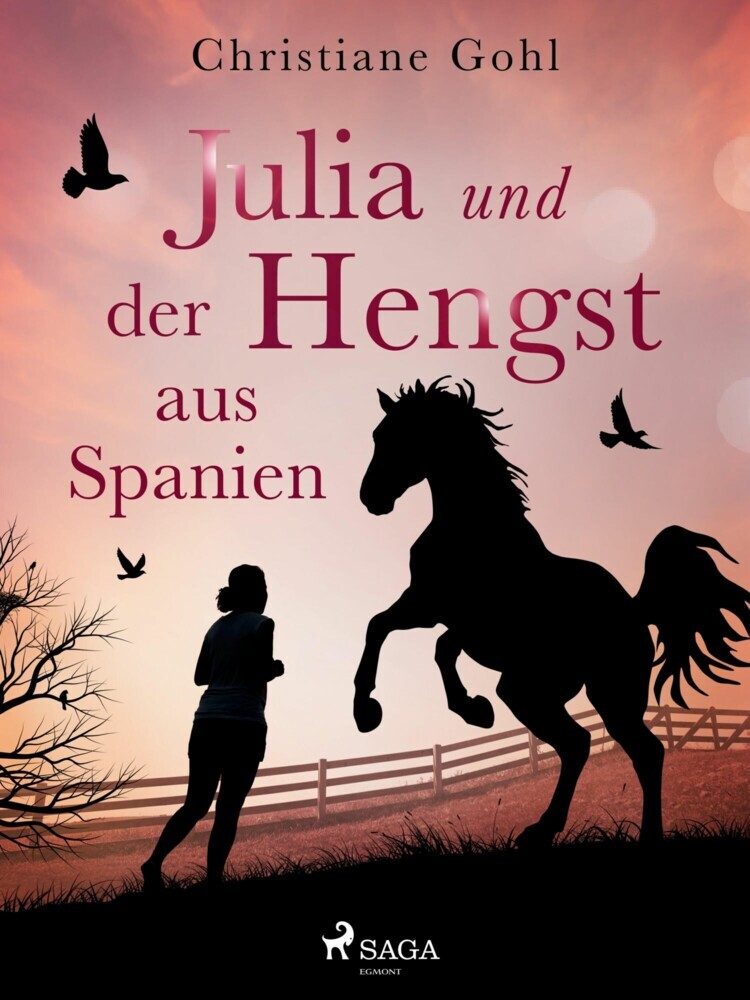 Julia und der Hengst aus Spanien main product photo