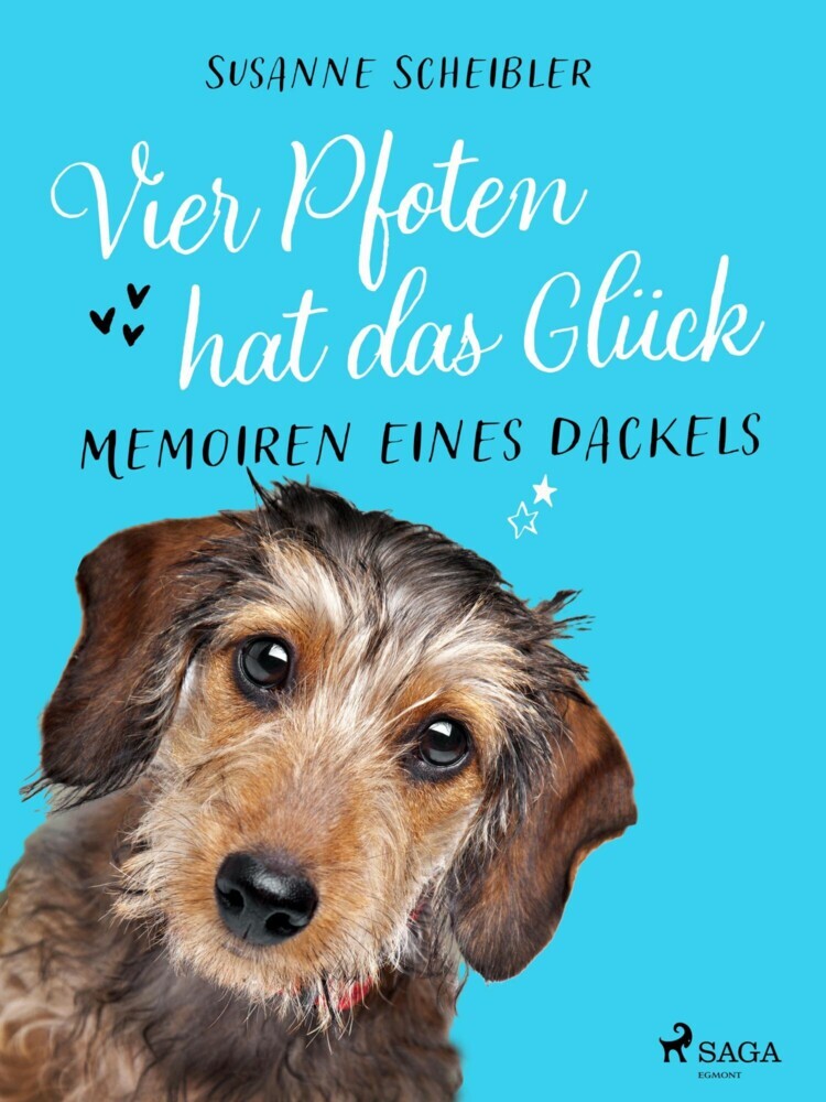 Vier Pfoten hat das Glück - Memoiren eines Dackels main product photo