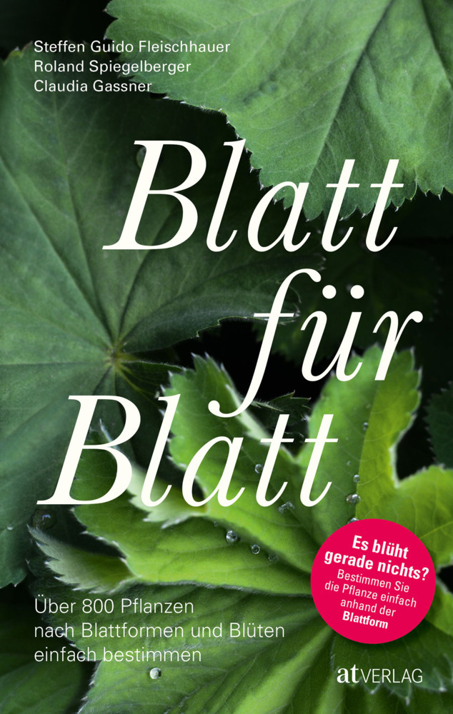 Blatt für Blatt main product photo