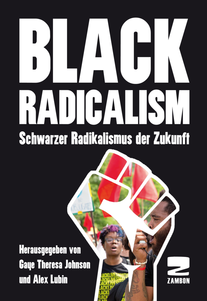 Black Radicalism main product photo