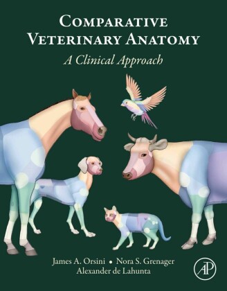 Comparative Veterinary Anatomy
