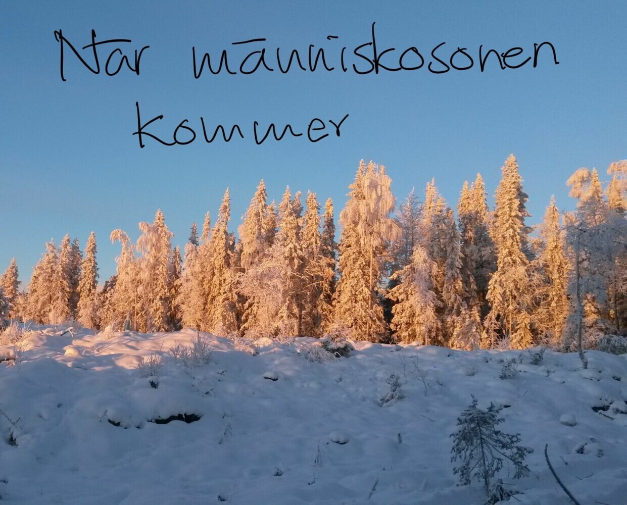 När människosonen kommer main product photo