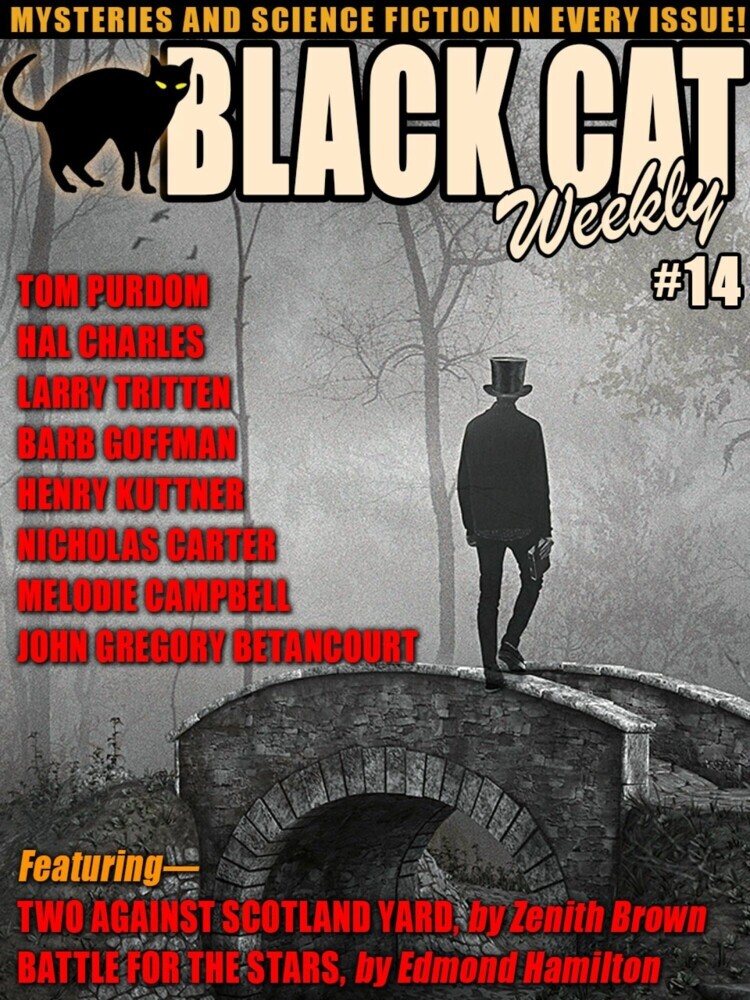 Black Cat Weekly #14 main product photo