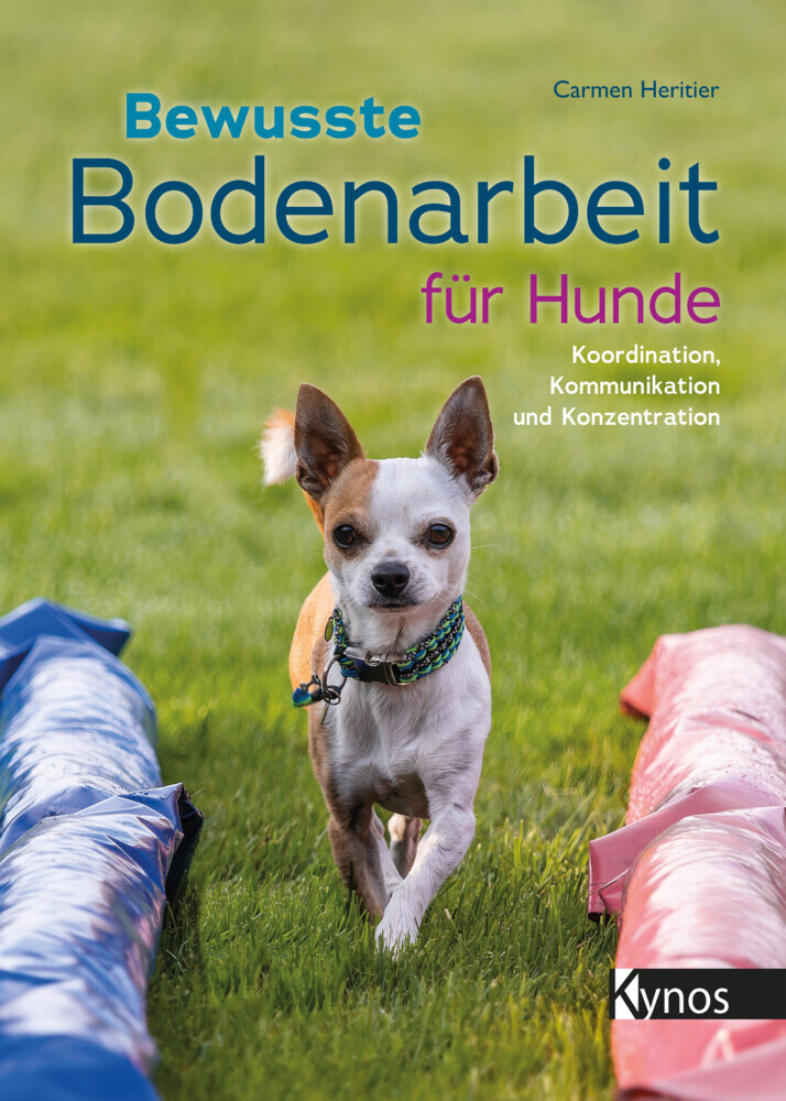 Bewusste Bodenarbeit für Hunde main product photo