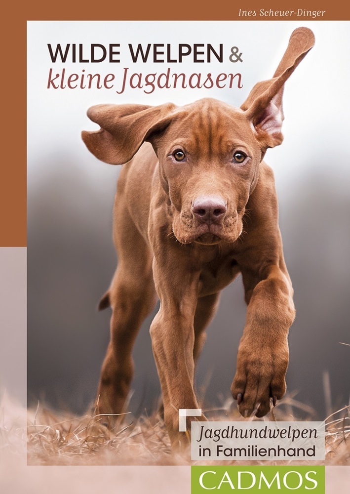 Wilde Welpen & kleine Jagdnasen main product photo