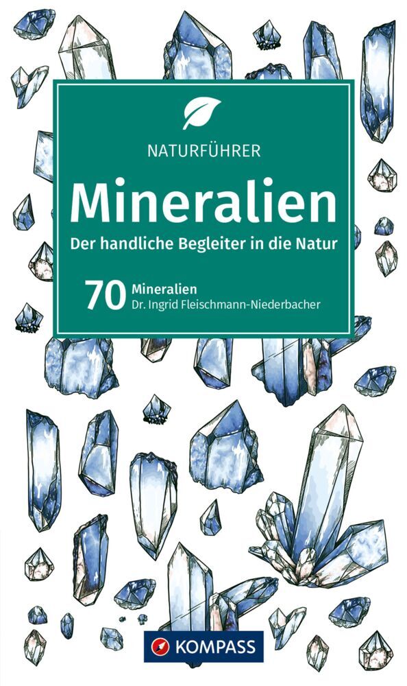 KOMPASS Naturführer Mineralien main product photo