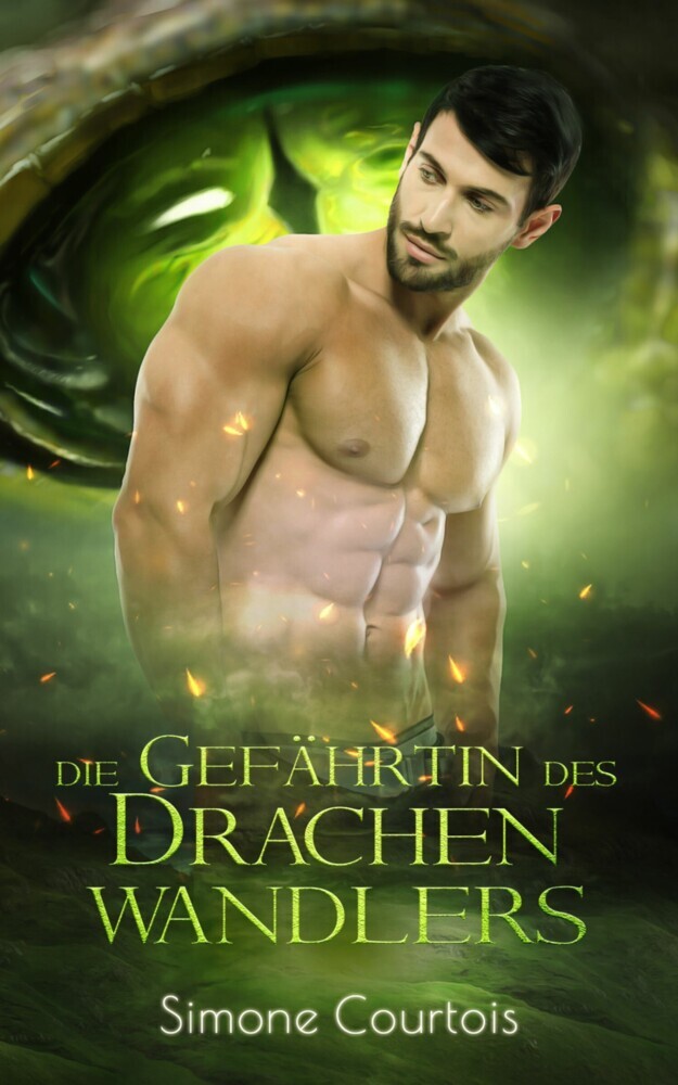 Die Gefährtin des Drachenwandlers main product photo