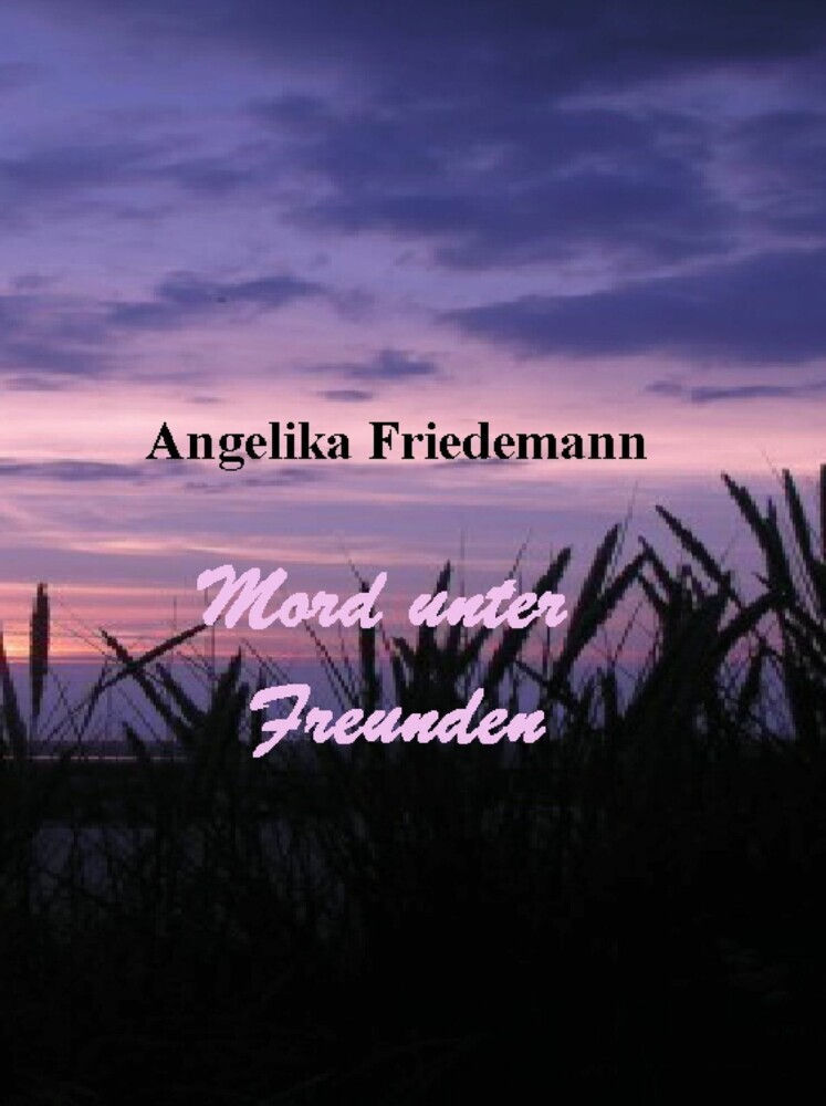 Mord unter Freunden main product photo