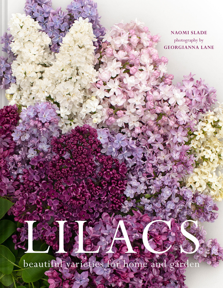 Lilacs main product photo