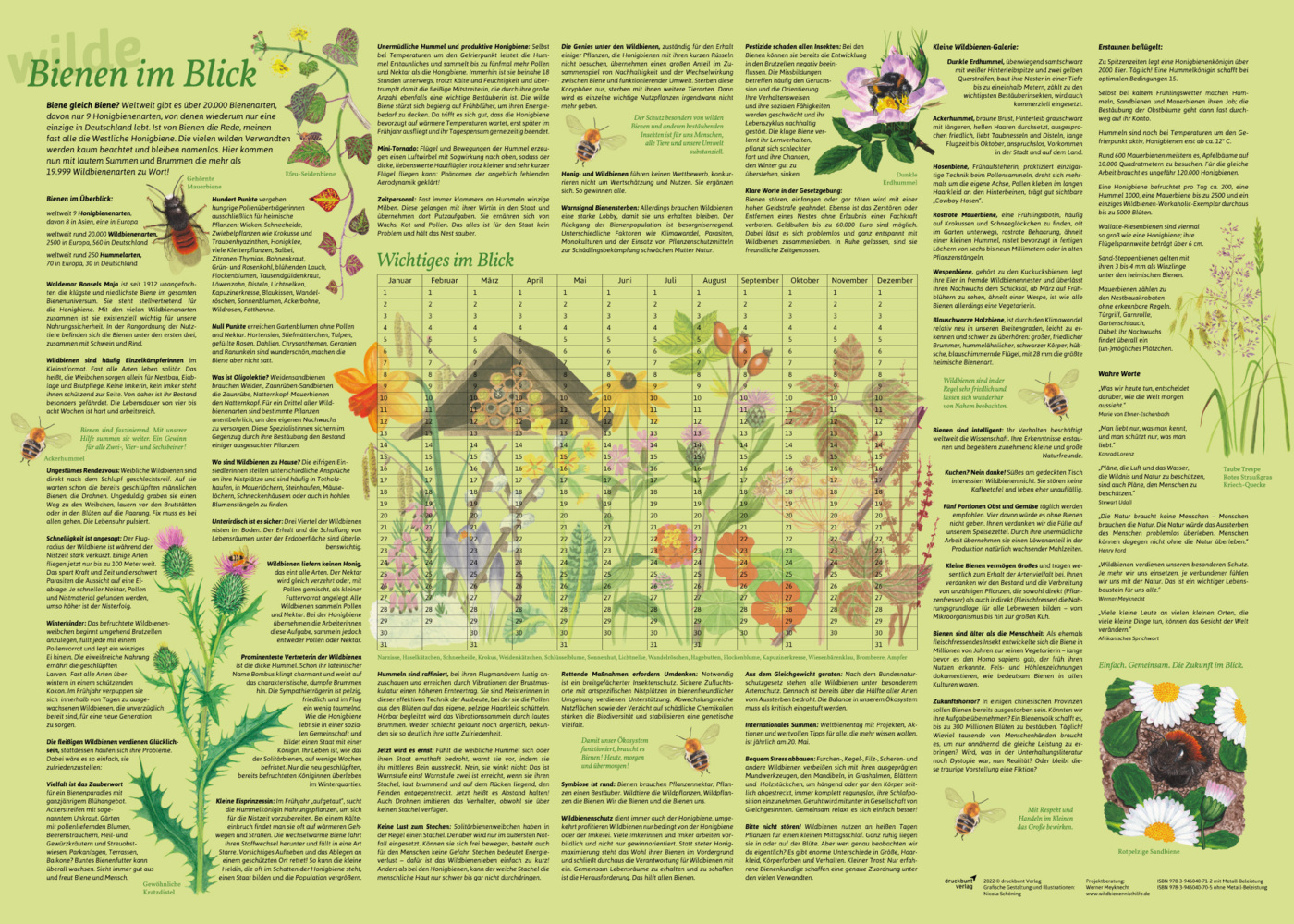 Erlebnisposter "Bienen im Blick" main product photo