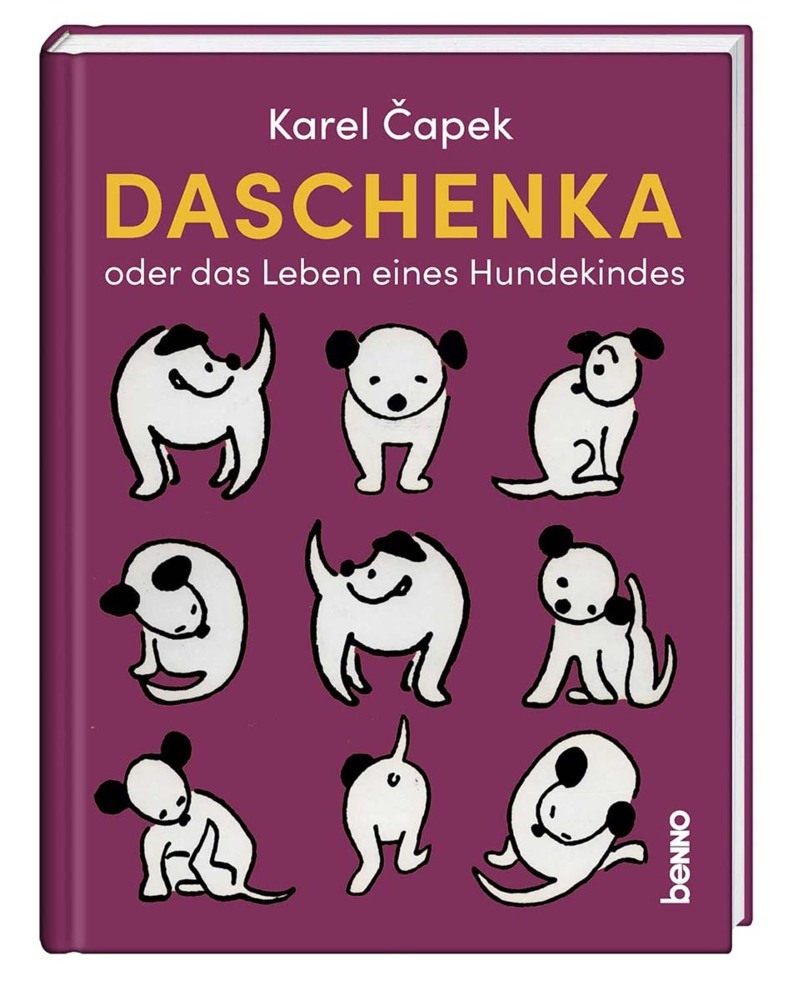 Daschenka oder das Leben eines Hundekindes main product photo