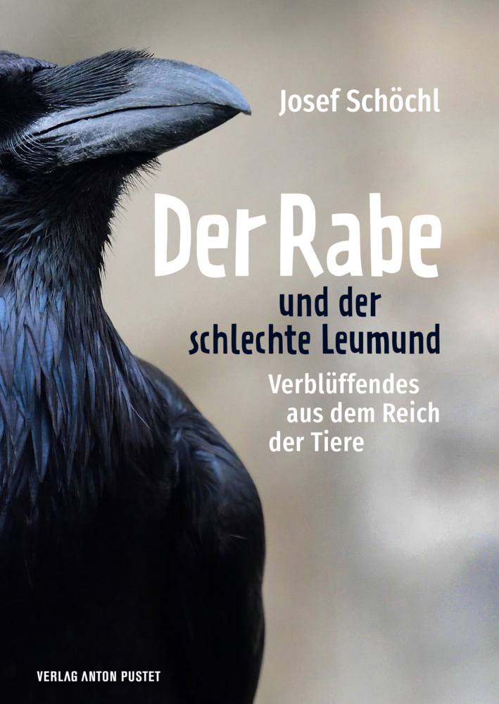 Der Rabe und der schlechte Leumund main product photo