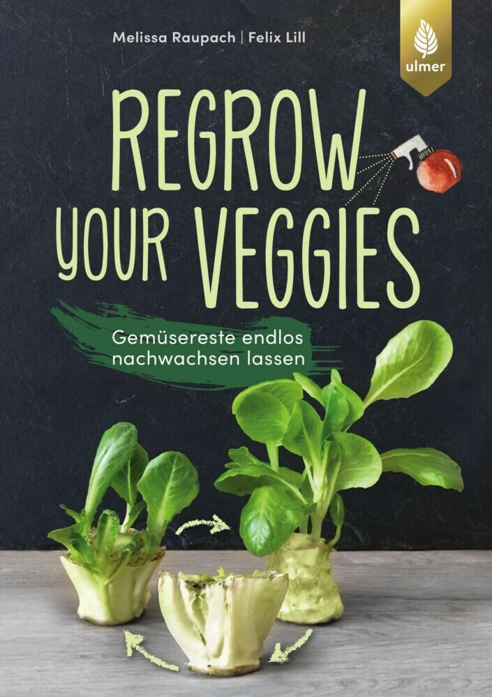 Regrow your veggies main product photo
