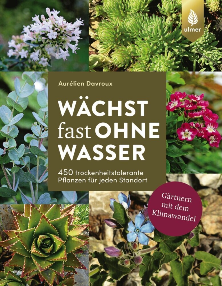 Wächst fast ohne Wasser main product photo