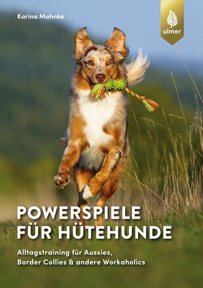 Powerspiele für Hütehunde main product photo