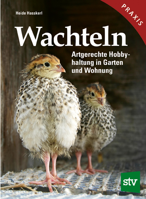 Wachteln main product photo