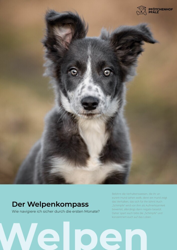 Der Welpenkompass main product photo