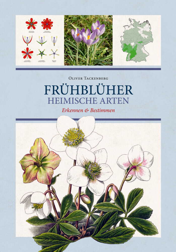 Frühblüher. Heimische Arten. main product photo