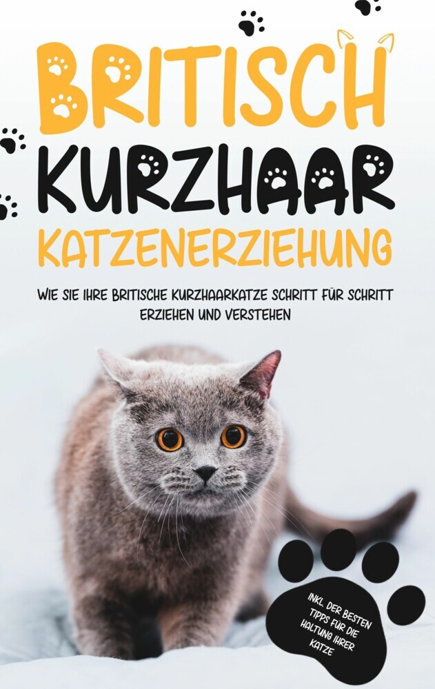 Britisch Kurzhaar Katzenerziehung: Wie Sie Ihre britische Kurzhaarkatze Schritt für Schritt erziehen und verstehen - inkl. der besten Tipps für die Haltung Ihrer Katze main product photo