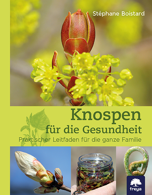 Knospen für die Gesundheit main product photo