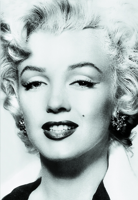 Silver Marilyn. Marilyn Monroe und die Kamera main product photo