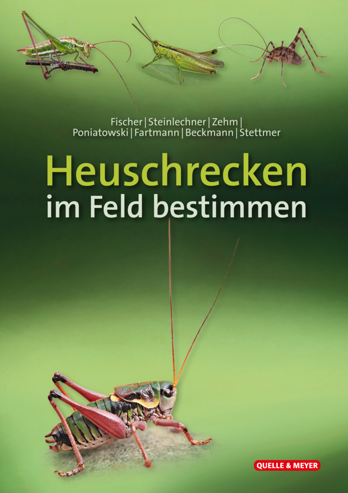 Heuschrecken im Feld bestimmen main product photo