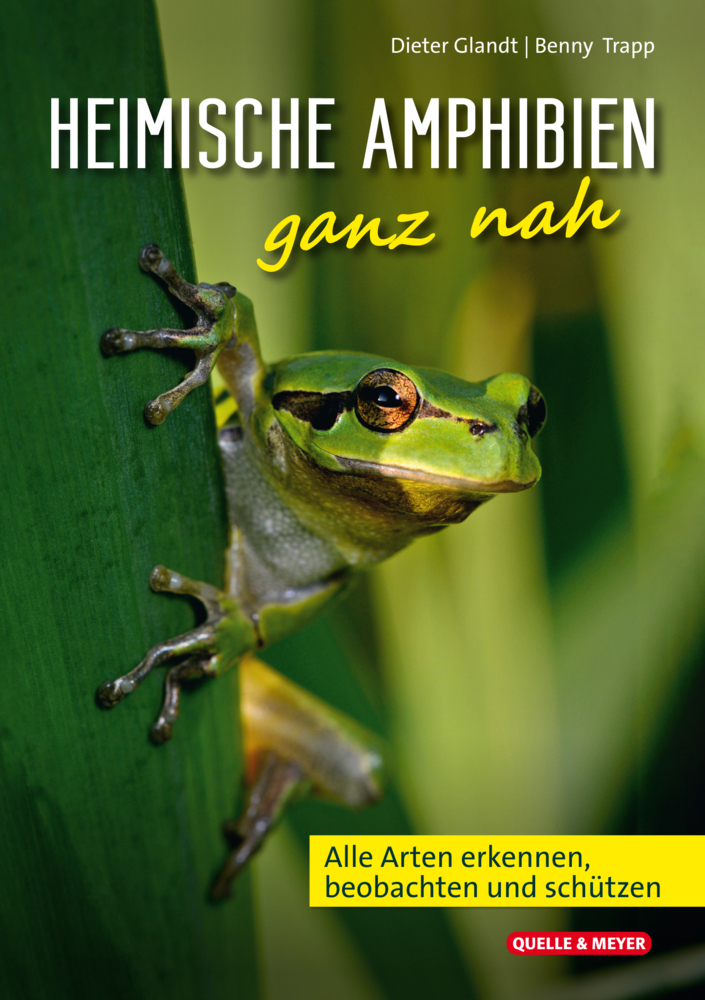 Heimische Amphibien ganz nah main product photo