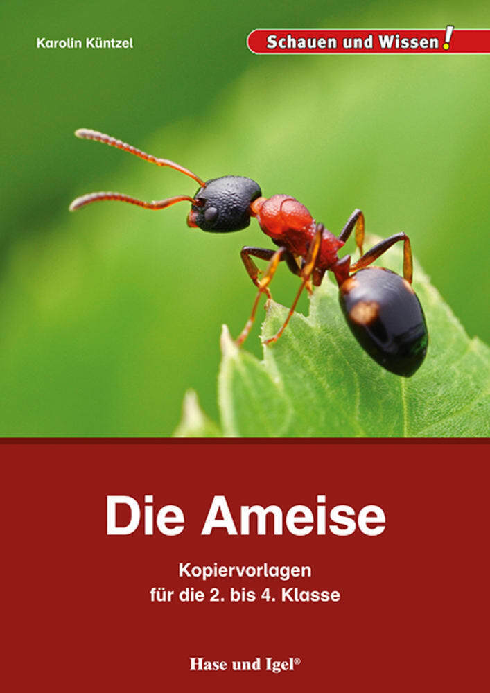 Die Ameise - Kopiervorlagen für die 2. bis 4. Klasse main product photo