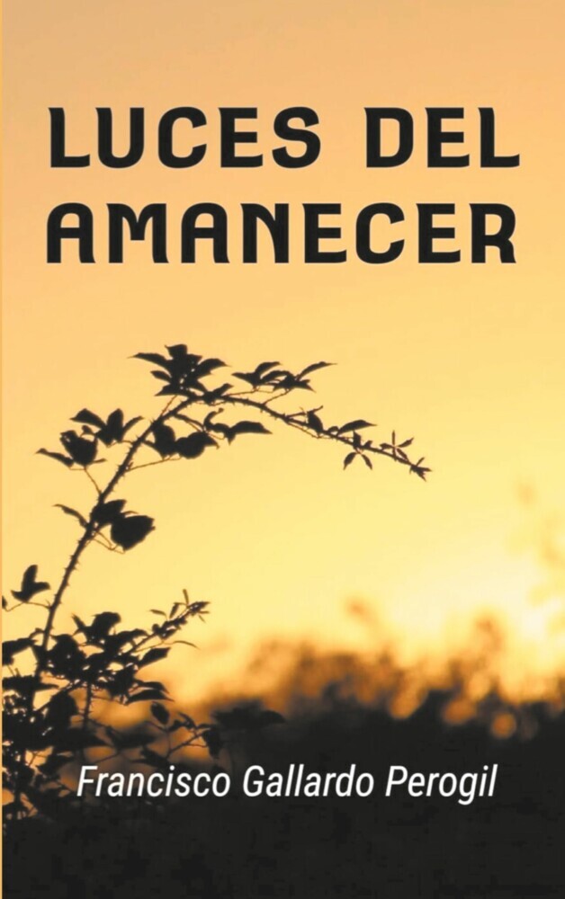 Luces del amanecer main product photo