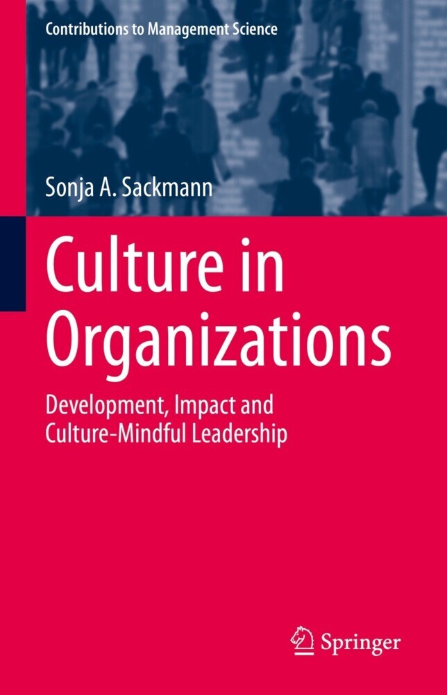 Culture in Organizations main product photo