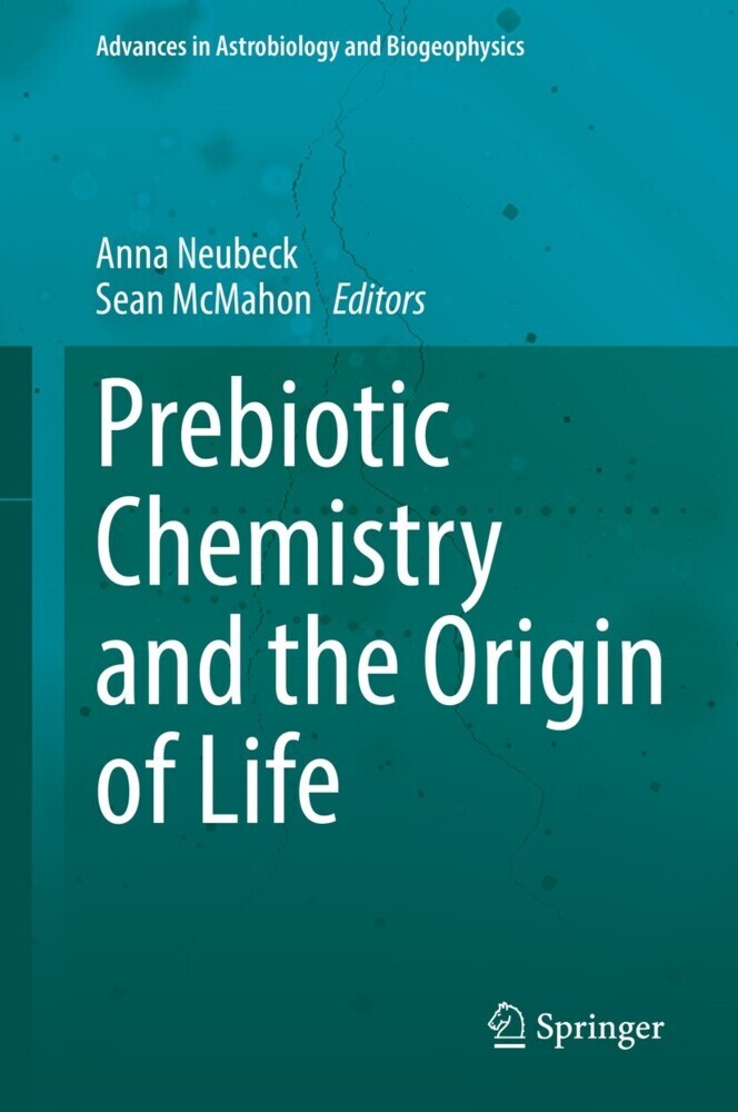 Prebiotic Chemistry and the Origin of Life main product photo