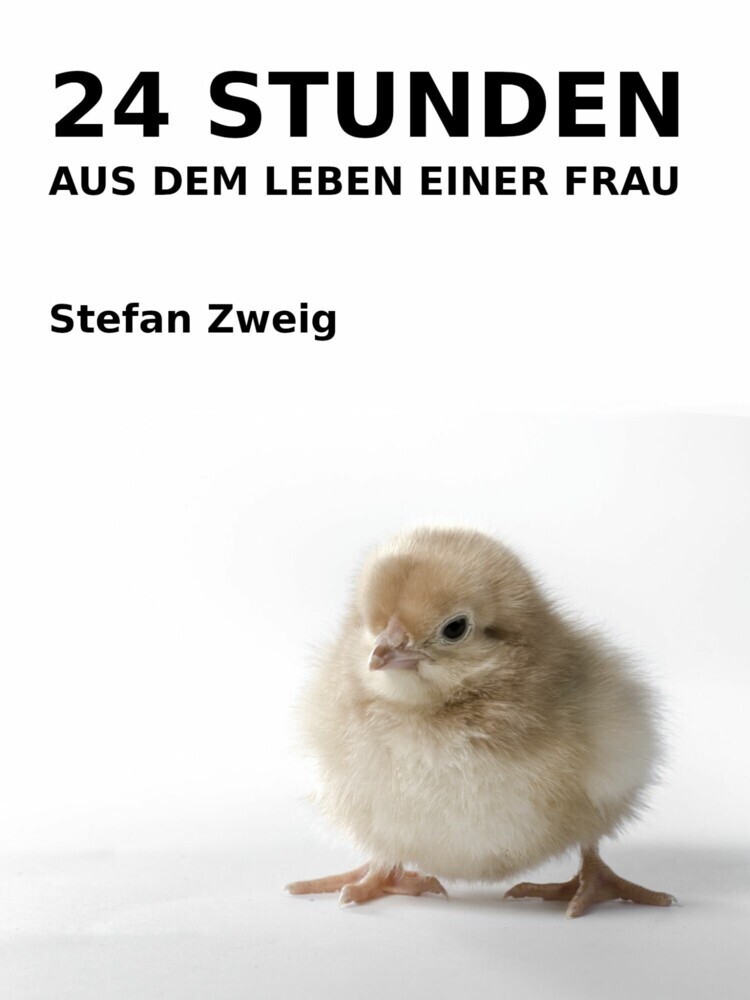 24 Stunden aus dem Leben einer Frau main product photo