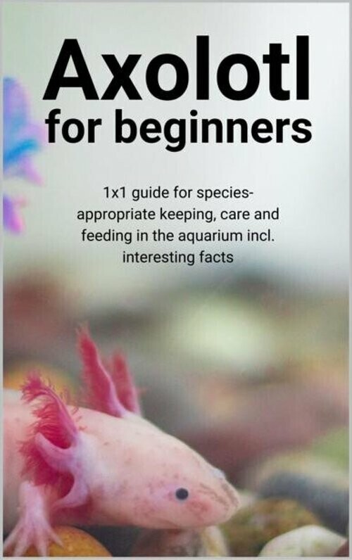 Axolotl for beginners main product photo