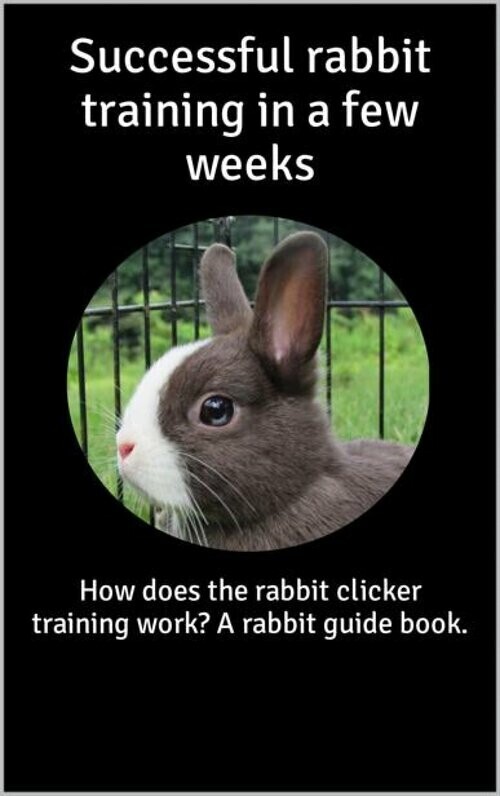 Successful rabbit training in a few weeks main product photo
